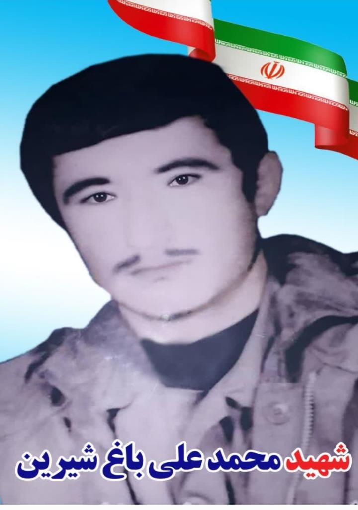 فاقد تصویر